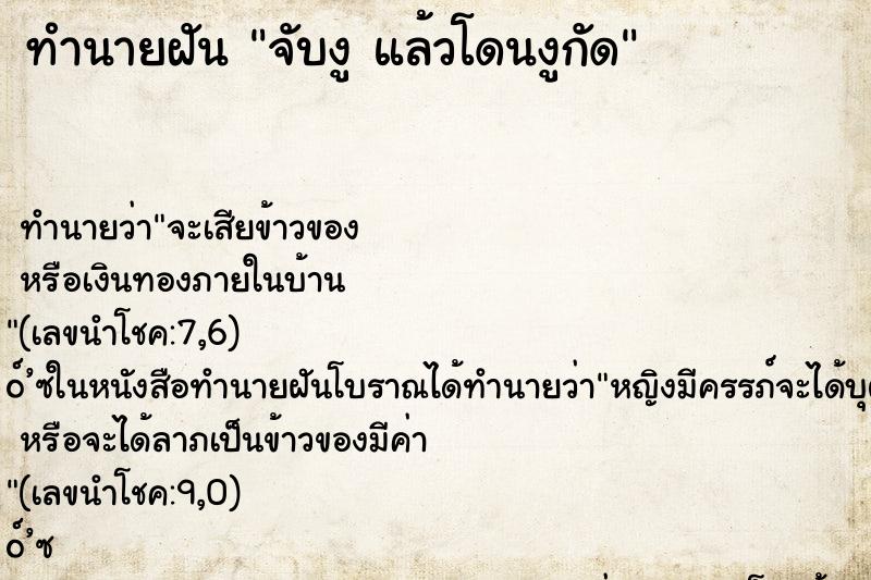ทำนายฝัน จับงู แล้วโดนงูกัด ทำนายฝัน จับงู แล้วโดนงูกัด